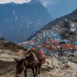 Pokhara – Birethanti – Ulleri (1,960 m) itinerary image 1